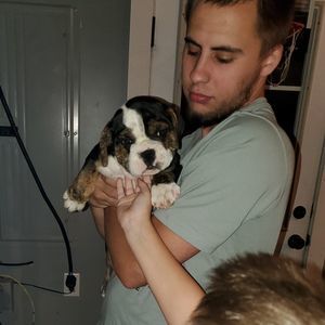 Meet your Posher, Christy